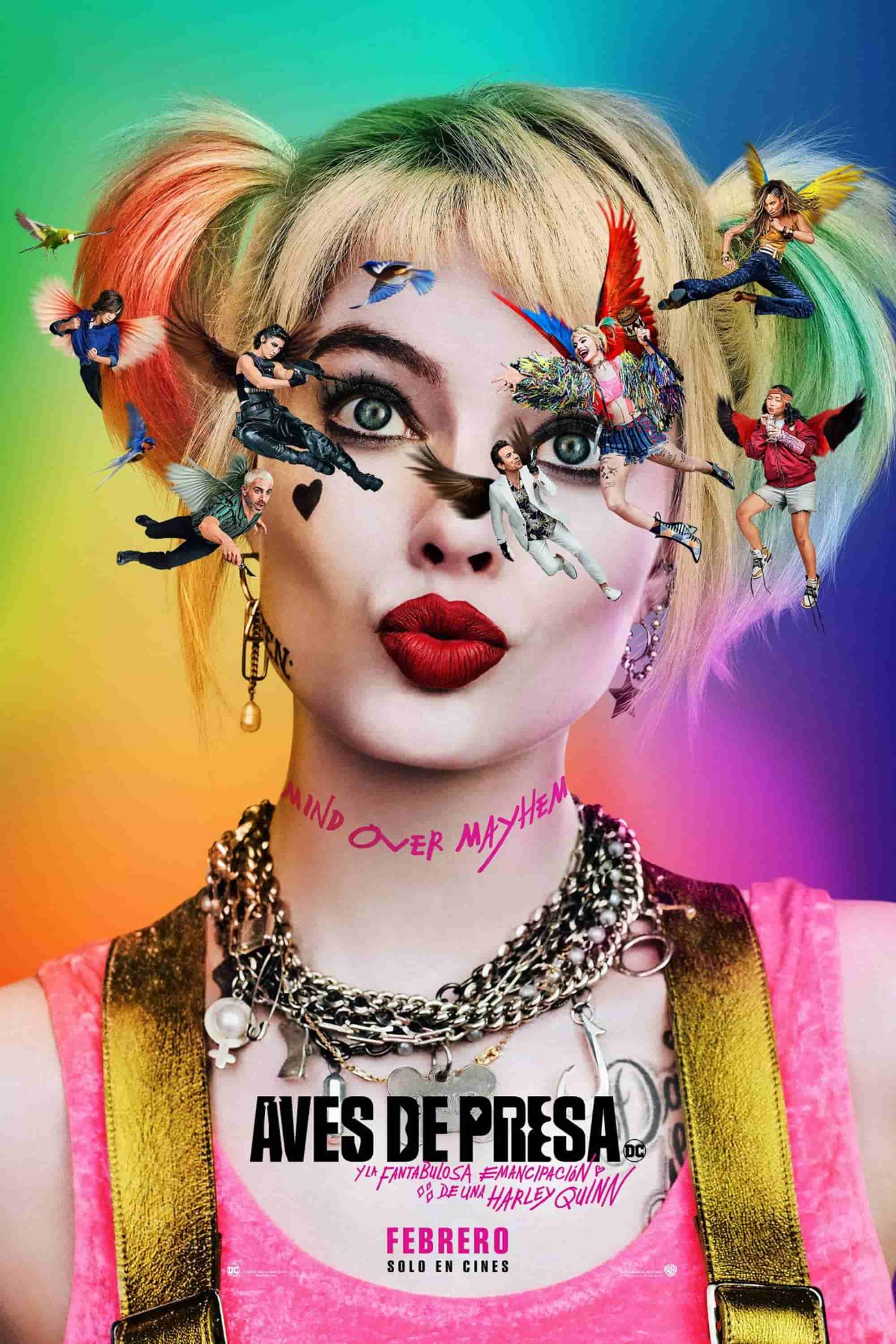Póster de aves de presa