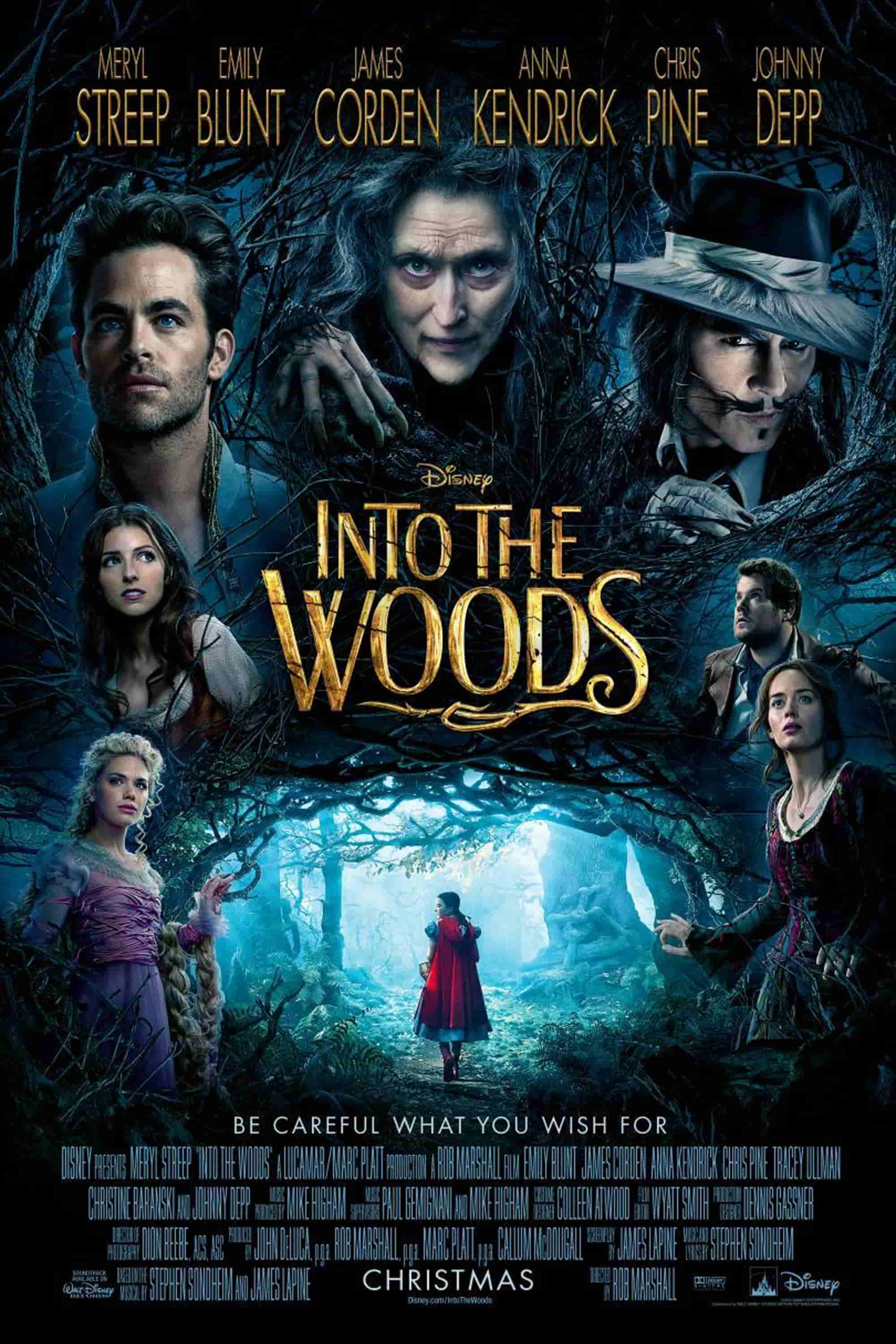 Póster de into the woods
