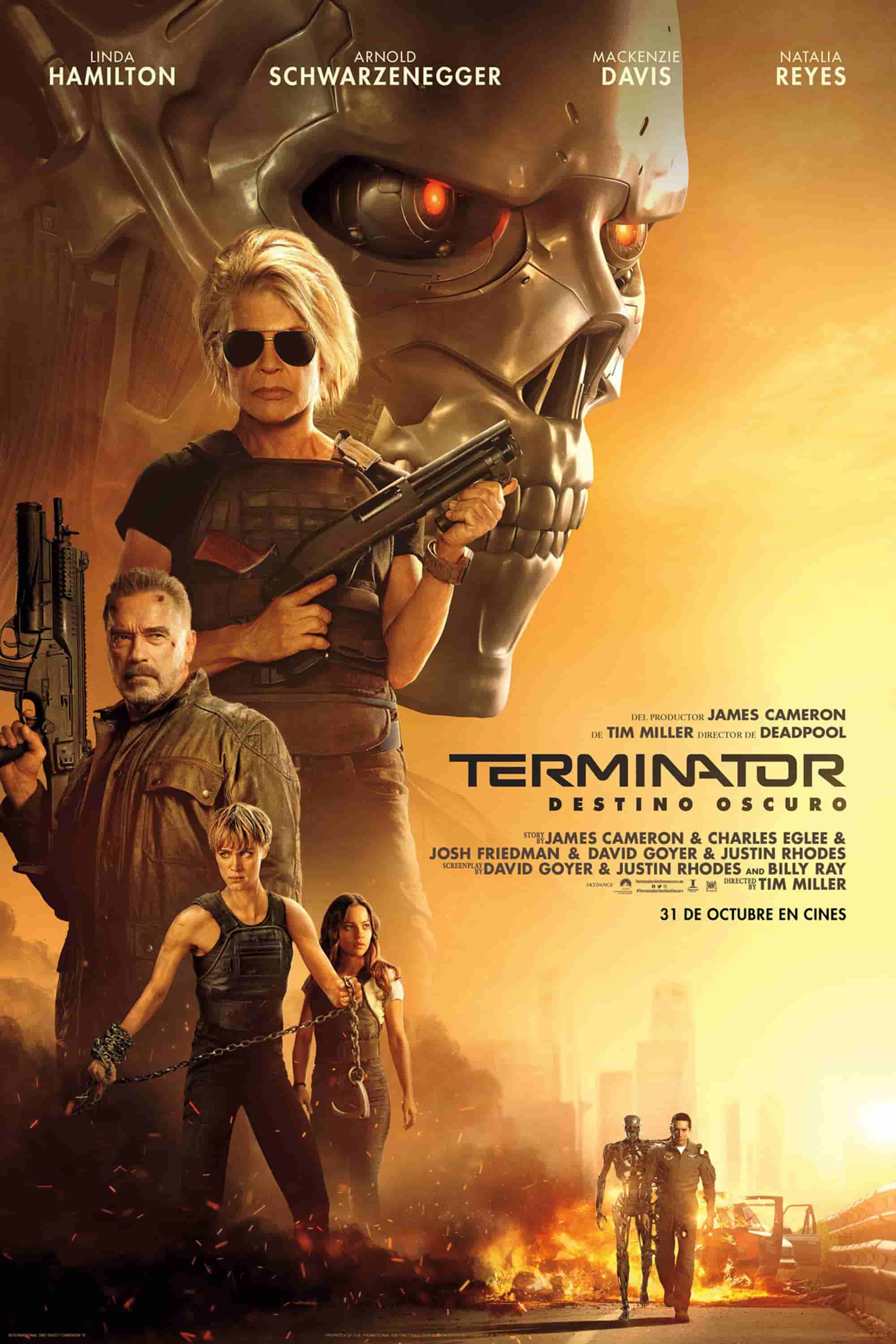 Póster de terminator